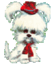 Giggles makes dog grooming FUN